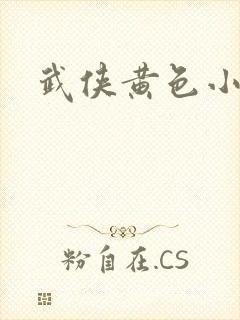 武侠黄色小说封面