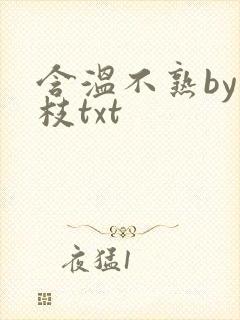 含温不熟by词枝txt