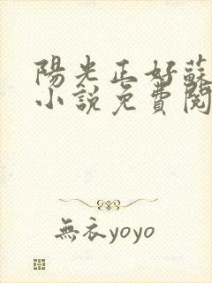 阳光正好苏玥玥小说免费阅读封面