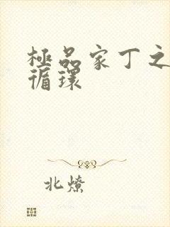 极品家丁之因果循环