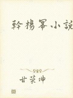 干杨幂小说