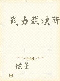 武力裁决所