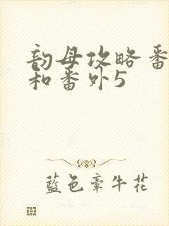 韵母攻略番外4和番外5封面