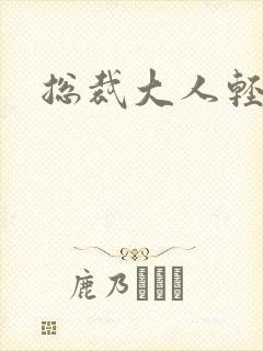 总裁大人轻一点