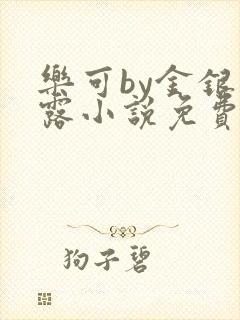 乐可by金银花露小说免费阅读封面