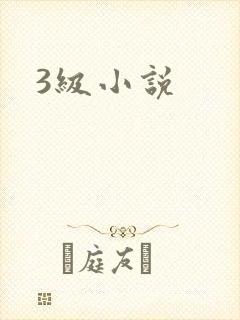 3级小说