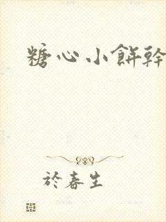 糖心小饼干封面
