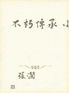 不朽传承 小说