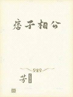 痞子相公封面