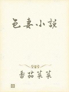色妻小说封面