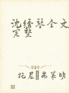沈绣琴全文阅读完整封面