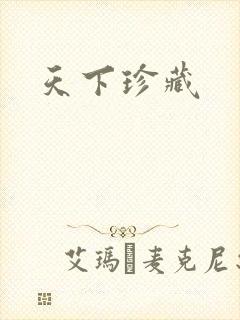 天下珍藏