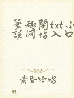 笔趣阁txt小说网站入口