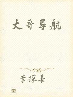 大哥导航