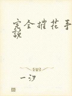 完全摧花手册小说