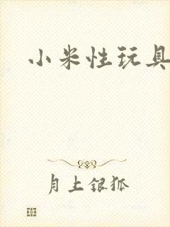 小米性玩具日记封面