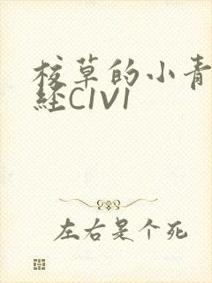 校草的小青梅不经C1V1