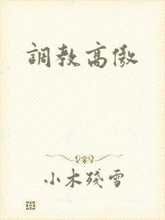 调教高傲