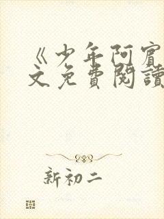 《少年阿宾》全文免费阅读封面