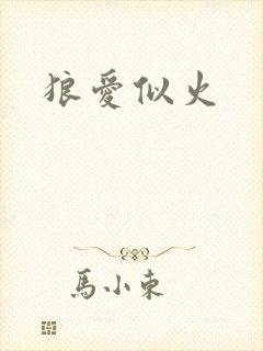 狼爱似火封面