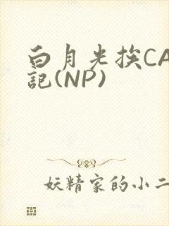 白月光挨CAO记(NP)封面