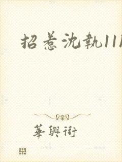 招惹沈执11h