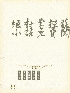 绝对掌控苏绵绵小说免费阅读全文封面