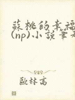 苏桃的幸福生活(np)小说笔趣阁
