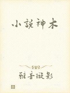 小说神木封面