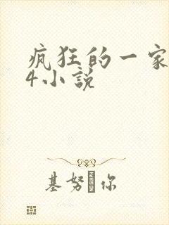 疯狂的一家ps4小说