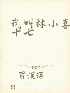 我叫林小喜今年十七
