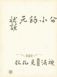 状元的小公主小说