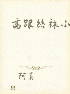 高跟丝袜小说