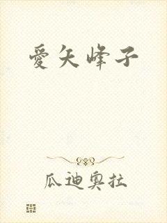 爱矢峰子封面