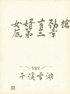 女婿有劲枪枪到底第三章