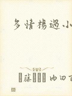 多情杨过小说封面