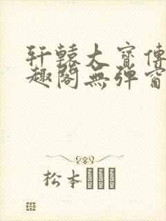 轩辕大宝传奇笔趣阁无弹窗