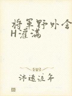 将军野外含公主H灌满