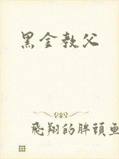 黑金教父封面