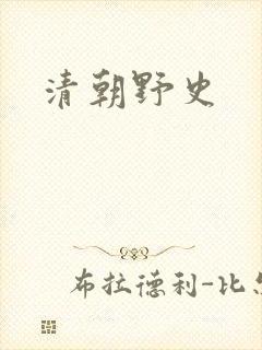清朝野史