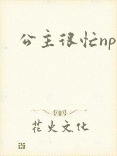 公主很忙npc