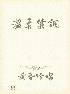 温柔禁锢封面