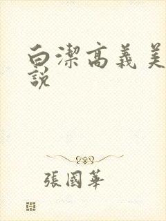 白洁高义美红小说封面