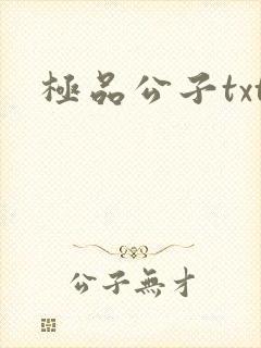 极品公子txt