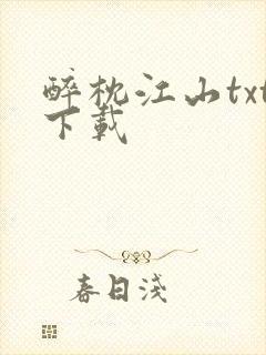 醉枕江山txt下载封面