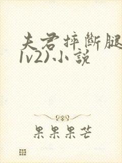 夫君摔断腿后(1v2)小说