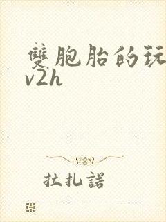 双胞胎的玩具1v2h封面