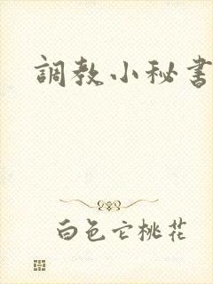 调教小秘书
