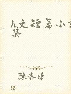 h文短篇小说合集封面