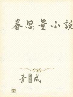 眷思量小说封面